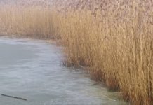 В Пачелмском районе мужчина провалился под лед и погиб