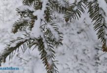 22 декабря в Пензенской области снова выпадет снег