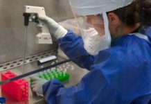 Стало известно о готовности России к эпидемиям страшнее COVID-19