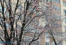 В первый день 2026 года в Пензенской области похолодает