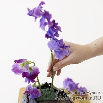 Ваза из капусты