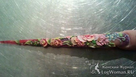 Длинные ногти Длинные ногти