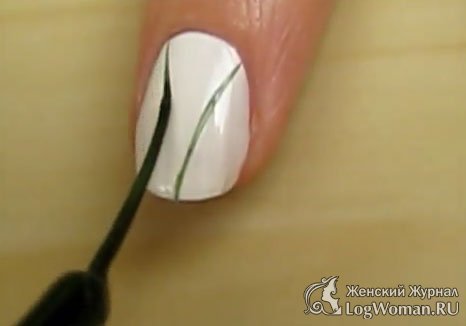 Привлекательная черника