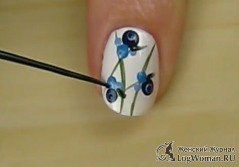 Привлекательная черника