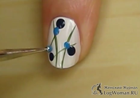 Привлекательная черника