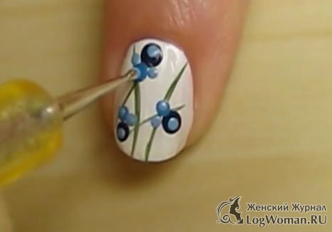 Привлекательная черника