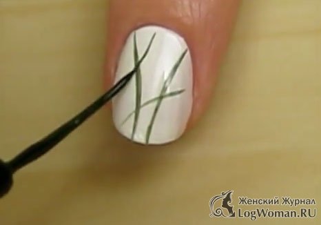 Привлекательная черника