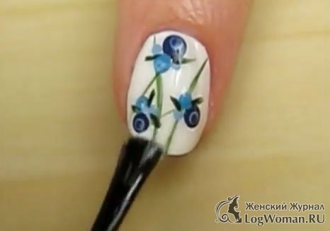 Привлекательная черника