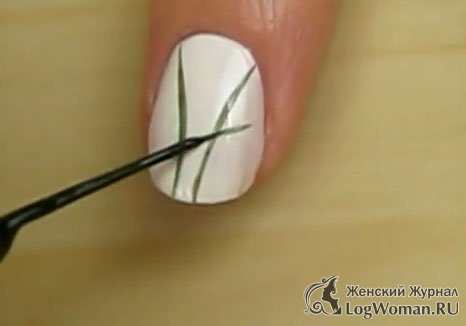 Привлекательная черника