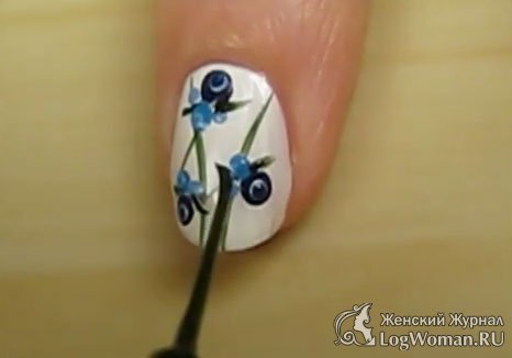 Привлекательная черника