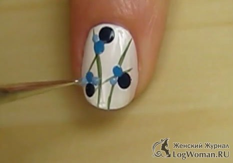 Привлекательная черника