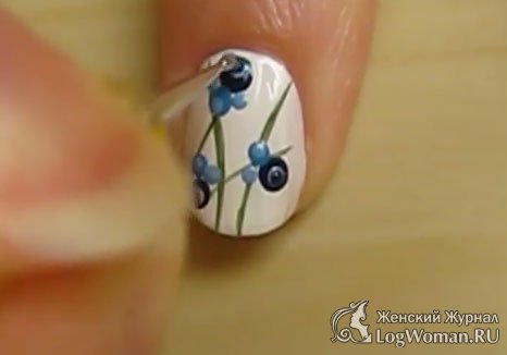 Привлекательная черника