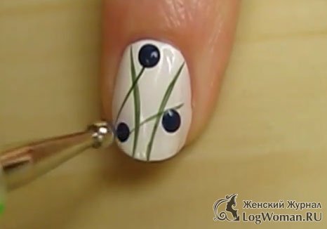 Привлекательная черника