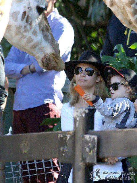 Николь и Воробей: Зоопарк. Николь и Воробей: Зоопарк.