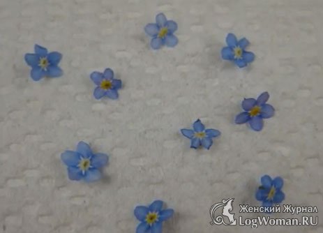 Цветы Цветы