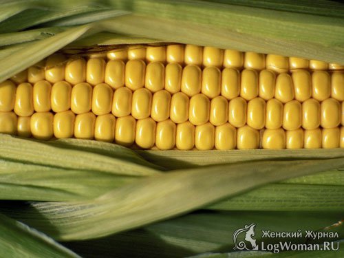 Сладкая кукуруза