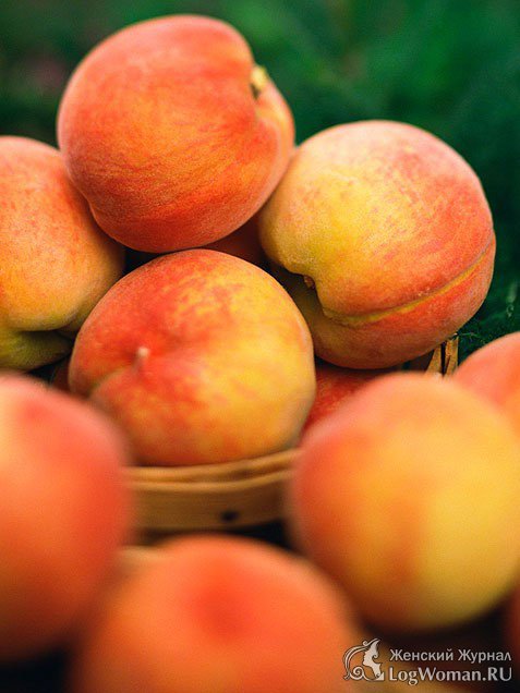 Персики 
