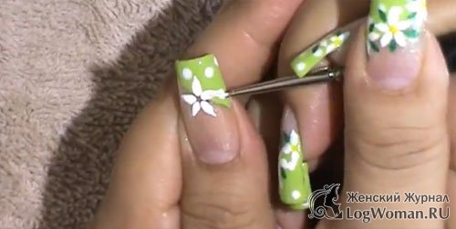 Маникюр ромашки Маникюр ромашки