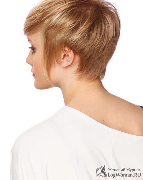 Современная прическа Современная прическа