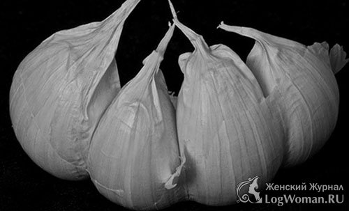 Чеснок  Чеснок