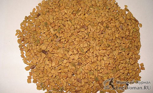 Семена пажитника Семена пажитника