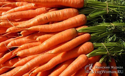 Морковь Морковь