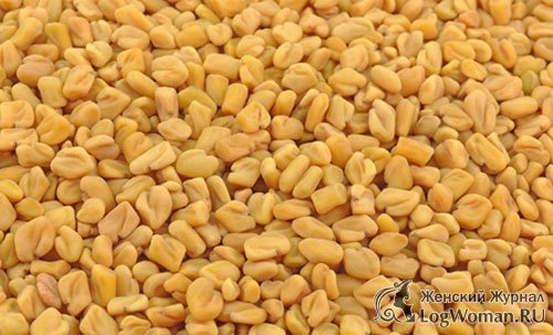 Семена фенхеля Семена фенхеля