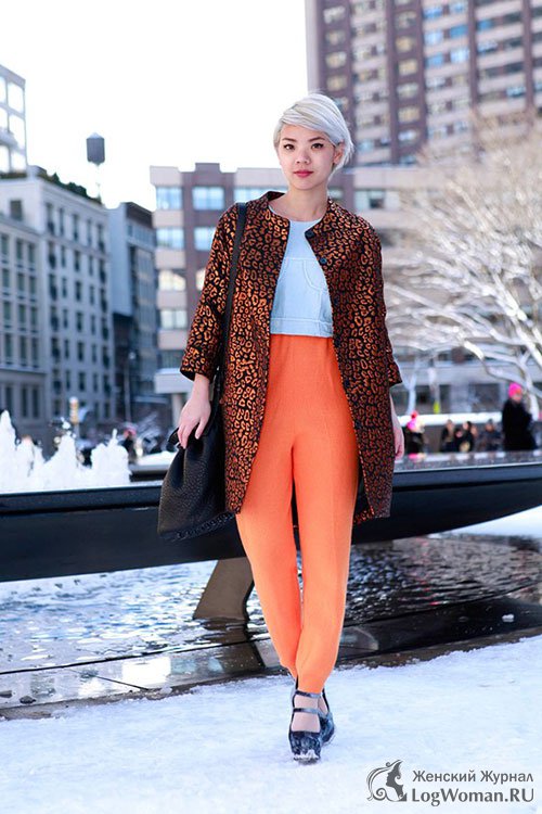 Даниэль Роше, блоггер