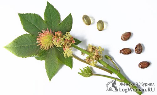 Касторовое масло Касторовое масло