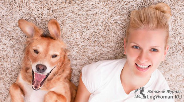 У владельцев собак здоровое сердце У владельцев собак здоровое сердце