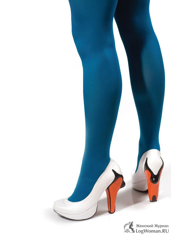 Птицы Птицы