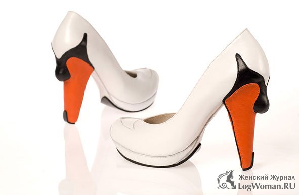 Птицы Птицы