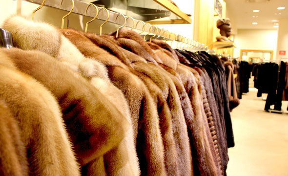 Как правильно выбрать норковую шубу
