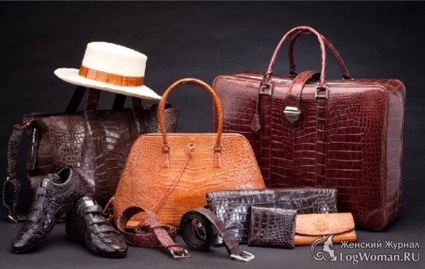 Какие изделия из натуральной экзотической кожи пользуются популярностью? Какие изделия из натуральной экзотической кожи пользуются популярностью?