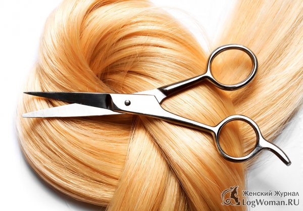 Что нужно начинающему парикмахеру? 