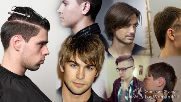 Разновидности мужских стрижек Разновидности мужских стрижек