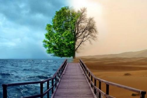 Учёные научиились предсказывать смерть