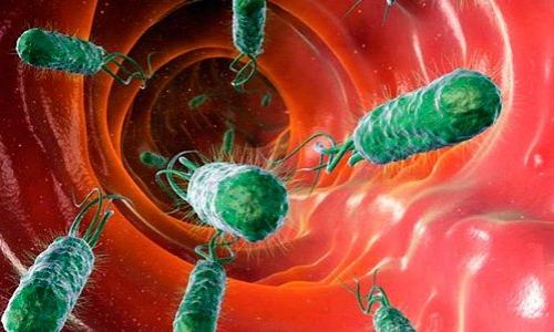 Дисбактериоз Причины, Симптомы, Диагностика, Лечение