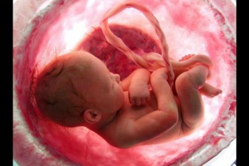 Как правильно зачать ребенка