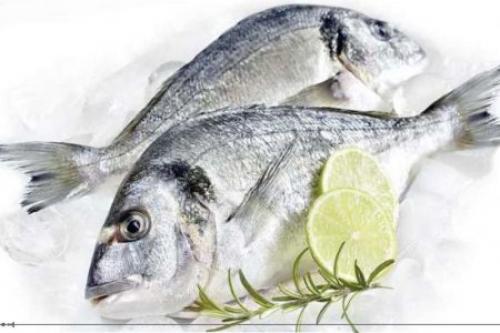 Любители морской рыбы живут дольше