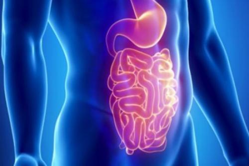 Какие продукты помогут очистить кишечник?