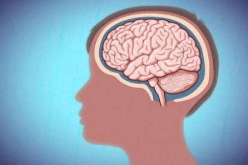 Удаление аппендикса снижает риск болезни Паркинсона