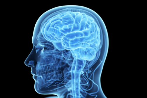 От чего зависит продолжительность жизни