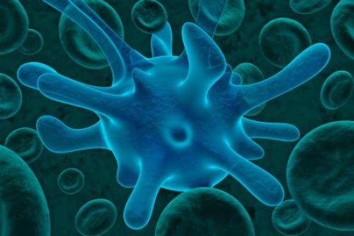 Супербактерии могут стать опаснее рака и диабета