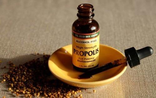 Применение настойки прополиса для лечения заболеваний