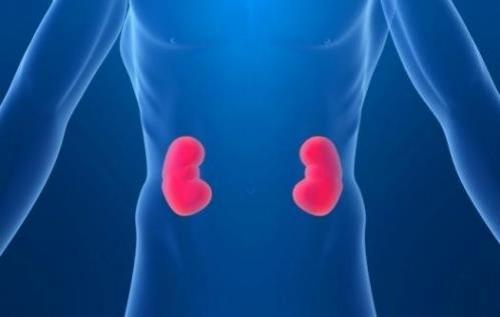 Олигурия — причины, симптомы и лечение болезни